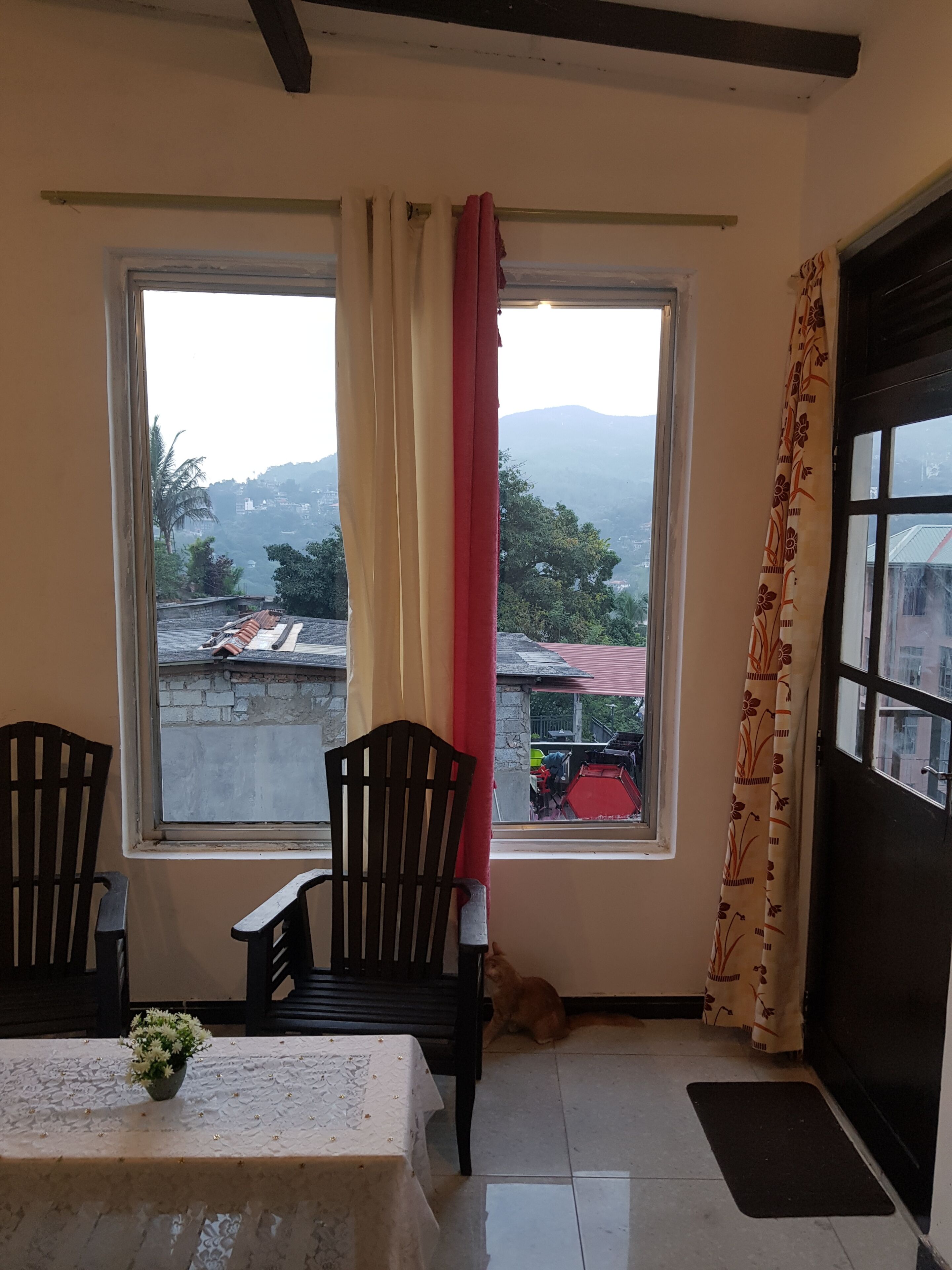A room with a large window, a table with a vase of flowers, two chairs, and a cat.