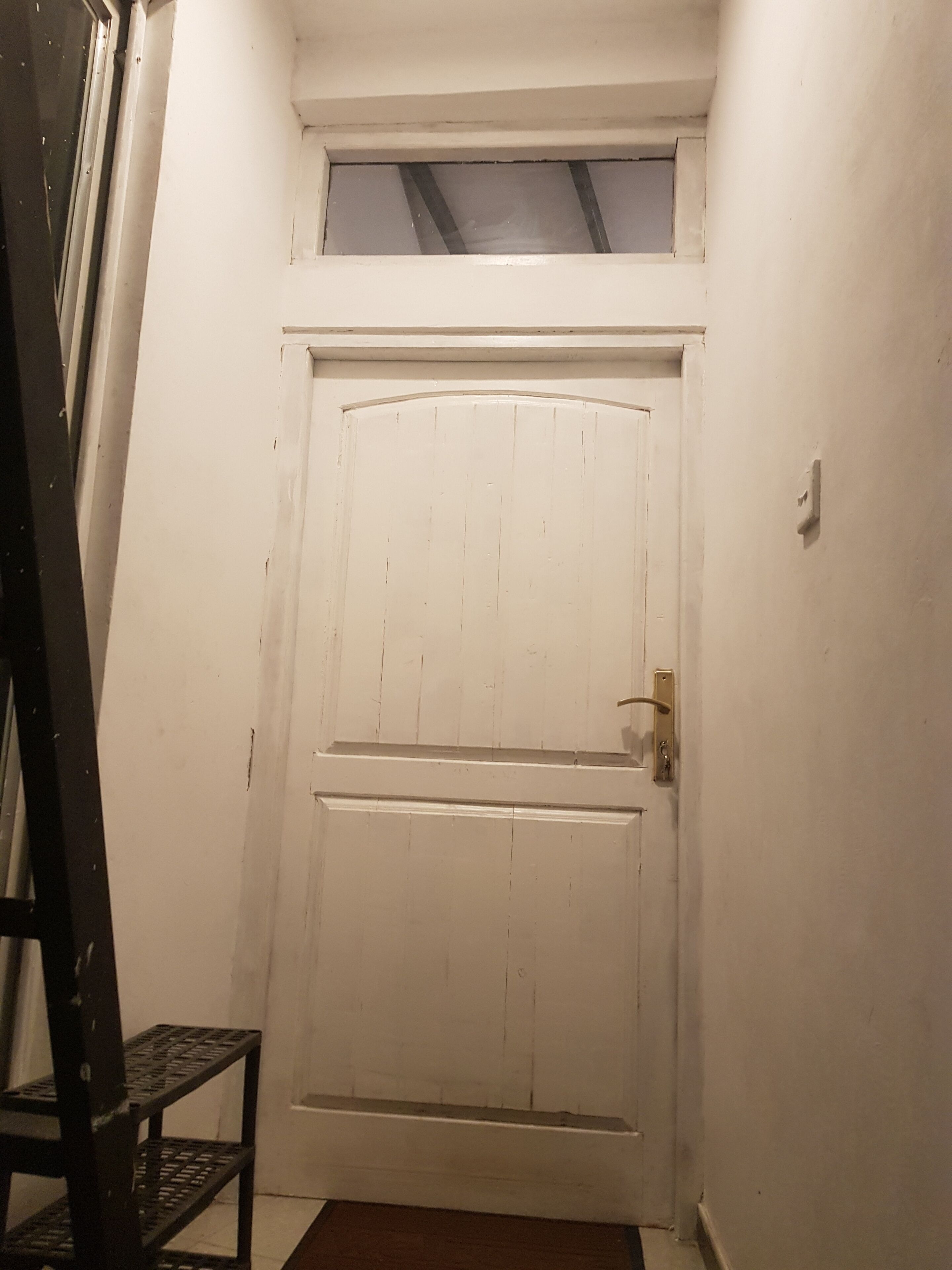 A white door with a small window above it, a metal ladder to the left, and a doormat on the floor.