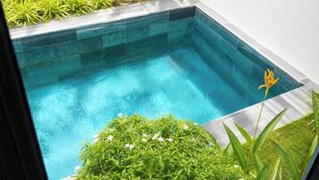 A rectangular swimming pool with clear blue water, surrounded by lush green plants and a small flower.