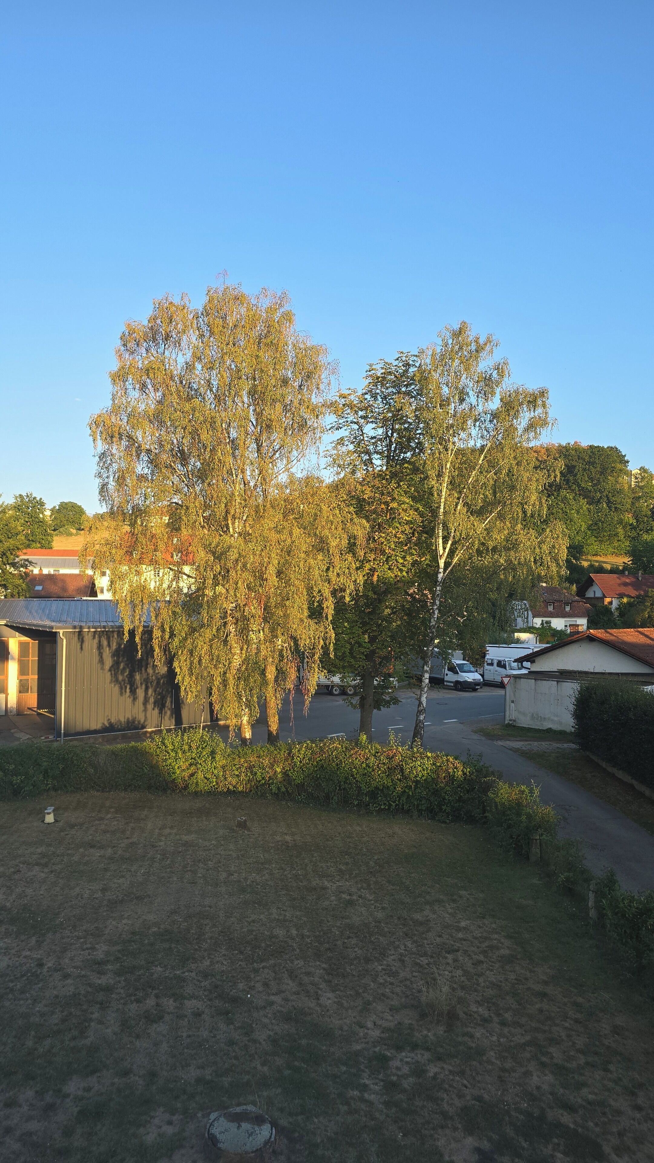 Een woonwijk met een grote boom op de voorgrond, een weg met voertuigen, en huizen op de achtergrond.
