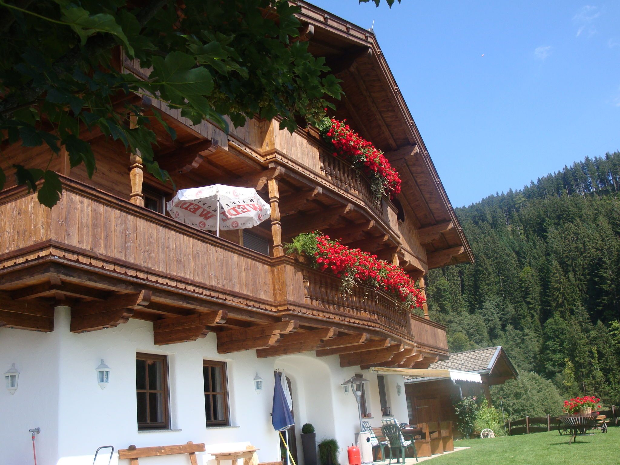 A traditional wooden chalet with a balcony adorned with red flowers, a white exterior, and a clear view of a forested mountain range.