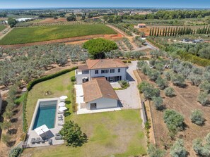 A large house with a swimming pool, surrounded by olive groves and vineyards. - San Giuseppe by Interhome (Cecina)
