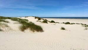 Ein Strand mit Sanddünen und blauem Himmel.