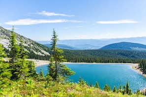 A mountainous landscape with a clear lake surrounded by dense forests and a few tall trees. - Cozy Studio with mountain views! (Beaverdell)