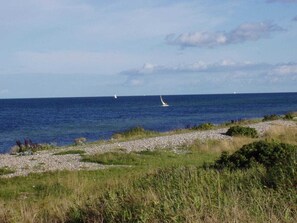 Eine Küstenlandschaft mit felsigem Ufer, grünen Flächen und dem Meer.