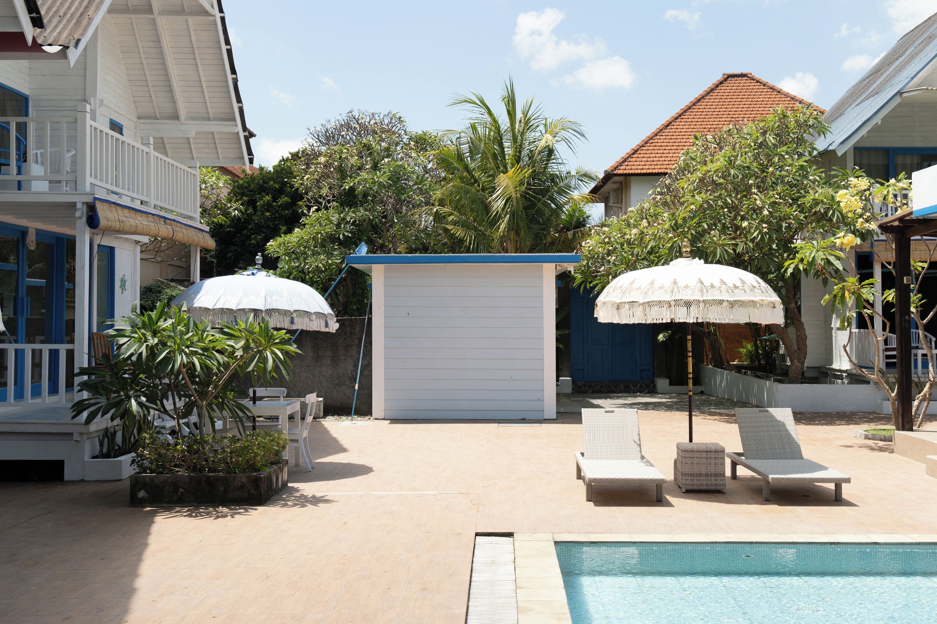 Un espace piscine agrémenté de chaises longues et de parasols, entouré d’un jardin où poussent différentes espèces de plantes, ainsi qu’un petit abri de jardin.