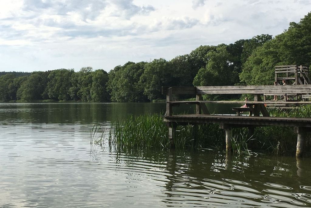 Een houten steiger die uitsteekt in een kalm meer, omgeven door weelderige begroeiing.