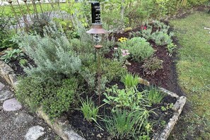A garden with a variety of plants and a bird feeder. - "the house by the lake" (Malchow)