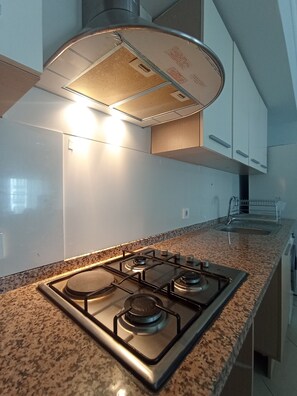 A kitchen with a gas stove, overhead ventilation hood, granite countertop, and stainless steel appliances.