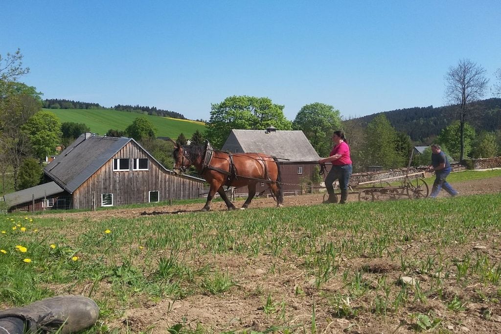 Une scène de campagne avec une grange en bois, une charrette tirée par un cheval et une personne qui tire la charrette.
