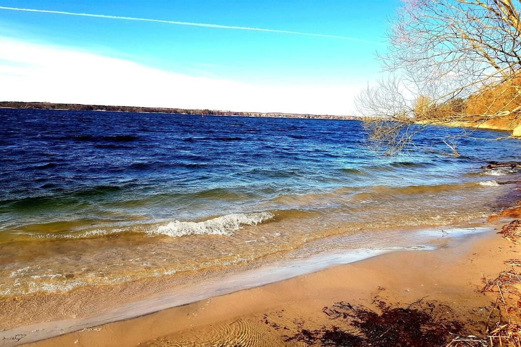 A beach with clear blue water, sandy shore, and a tree on the right.