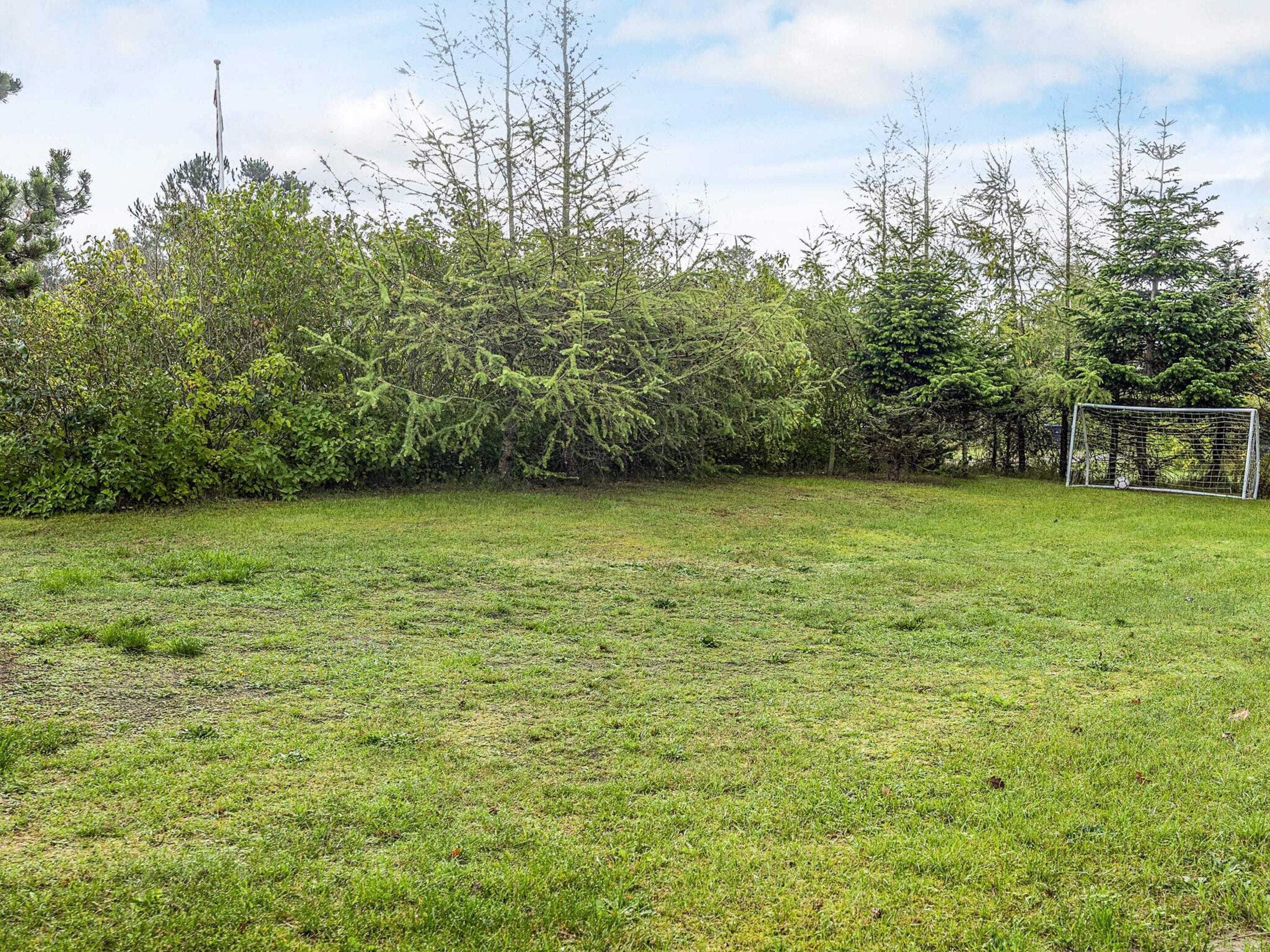Ein grünes Feld mit einem Fußballtor und dichter Strauchbepflanzung.