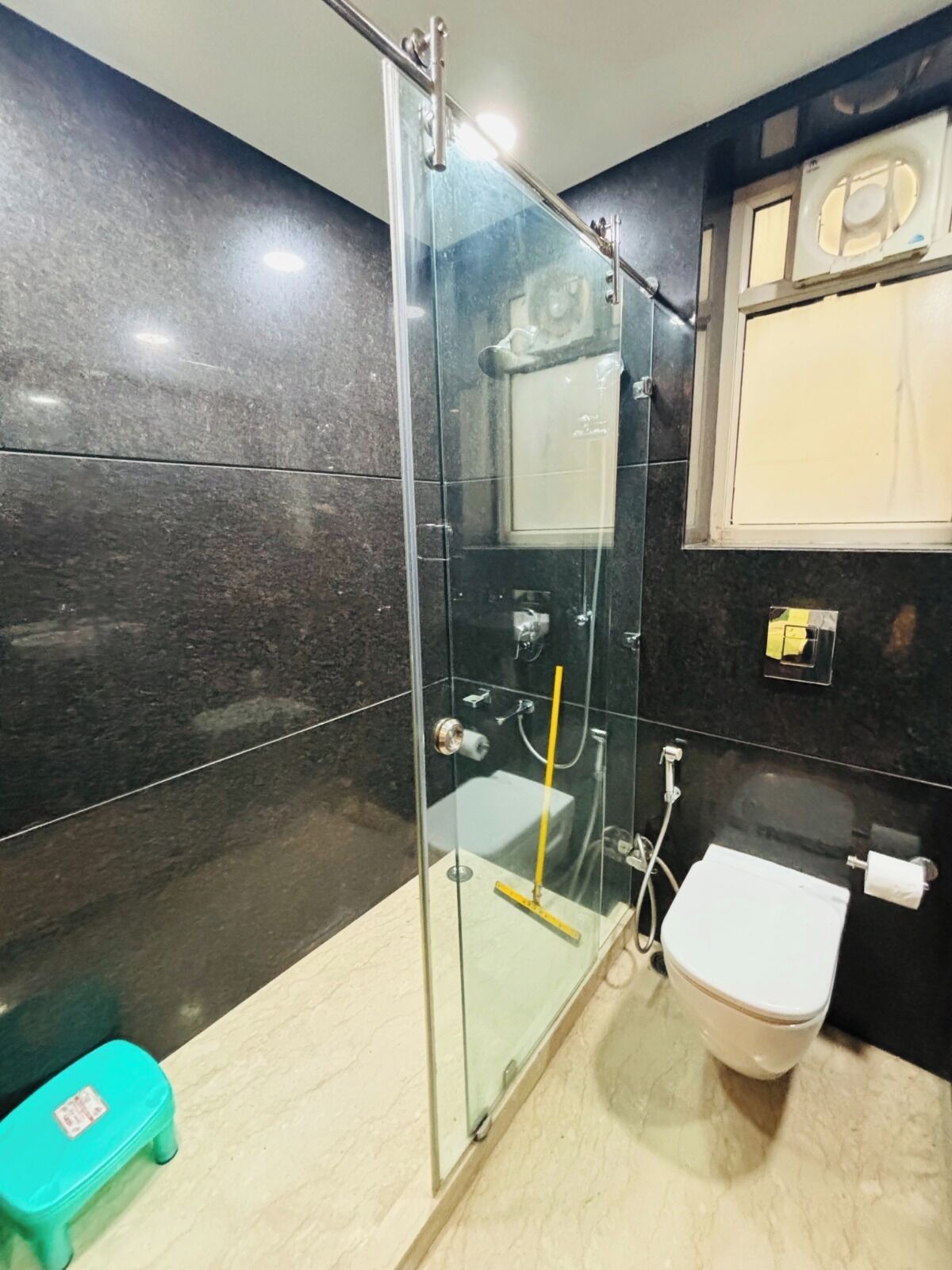 Une salle de bain avec une douche à parois de verre, des toilettes et un petit marchepied.