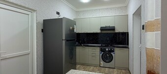 Şəki triohomesheki