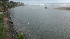 Ein Strand mit gepflastertem Weg, Palmen und Blick auf den Ozean.