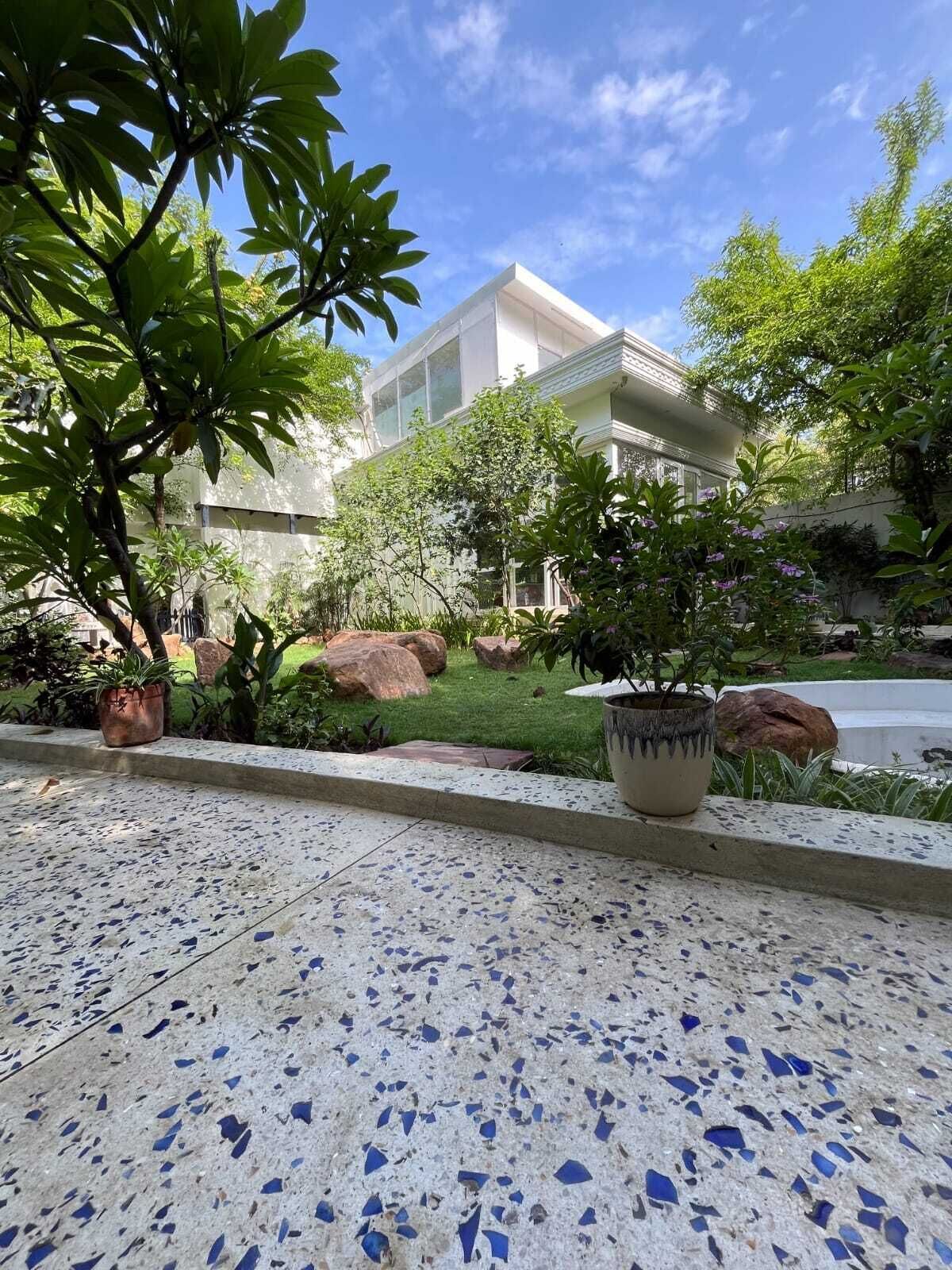 A paved walkway with potted plants, a building with large windows, and a grassy area with rocks.