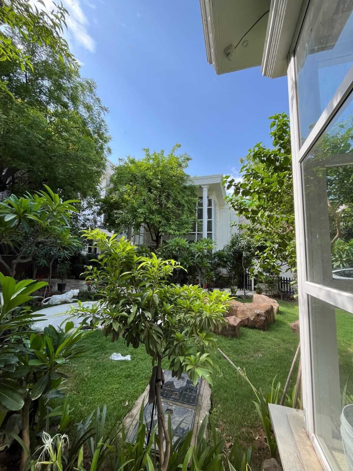 A well-maintained garden with a variety of plants and a small pond.