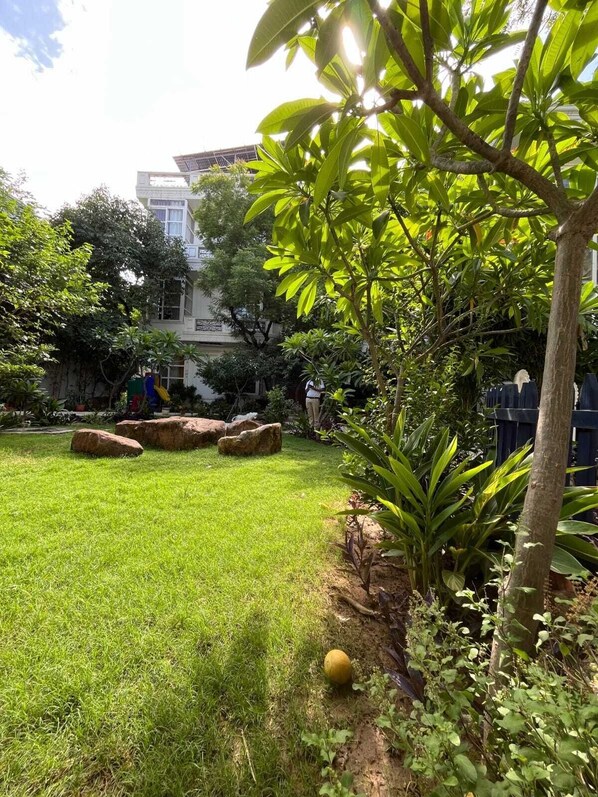 A well-maintained garden with a grassy lawn, large rocks, and a variety of plants.