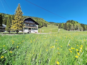 Un edificio a due piani con un balcone, circondato da un prato fiorito di fiori gialli e una collina boscosa sullo sfondo.