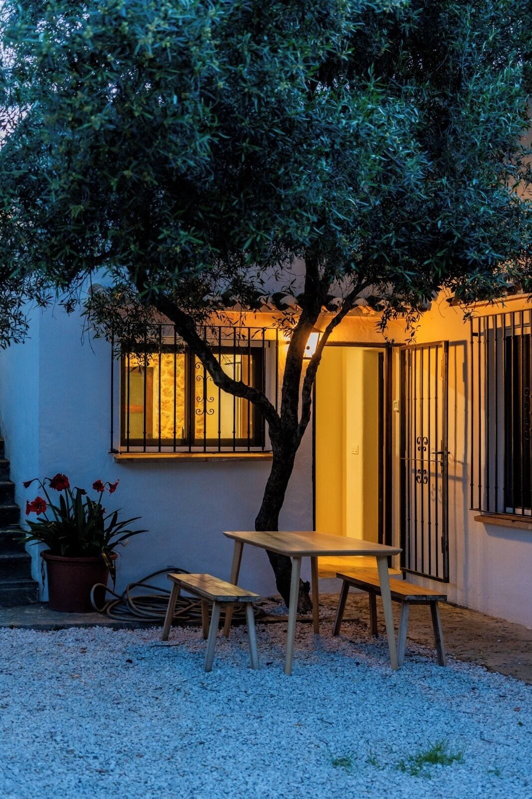 A patio with a table and benches, a potted plant, and a tree.