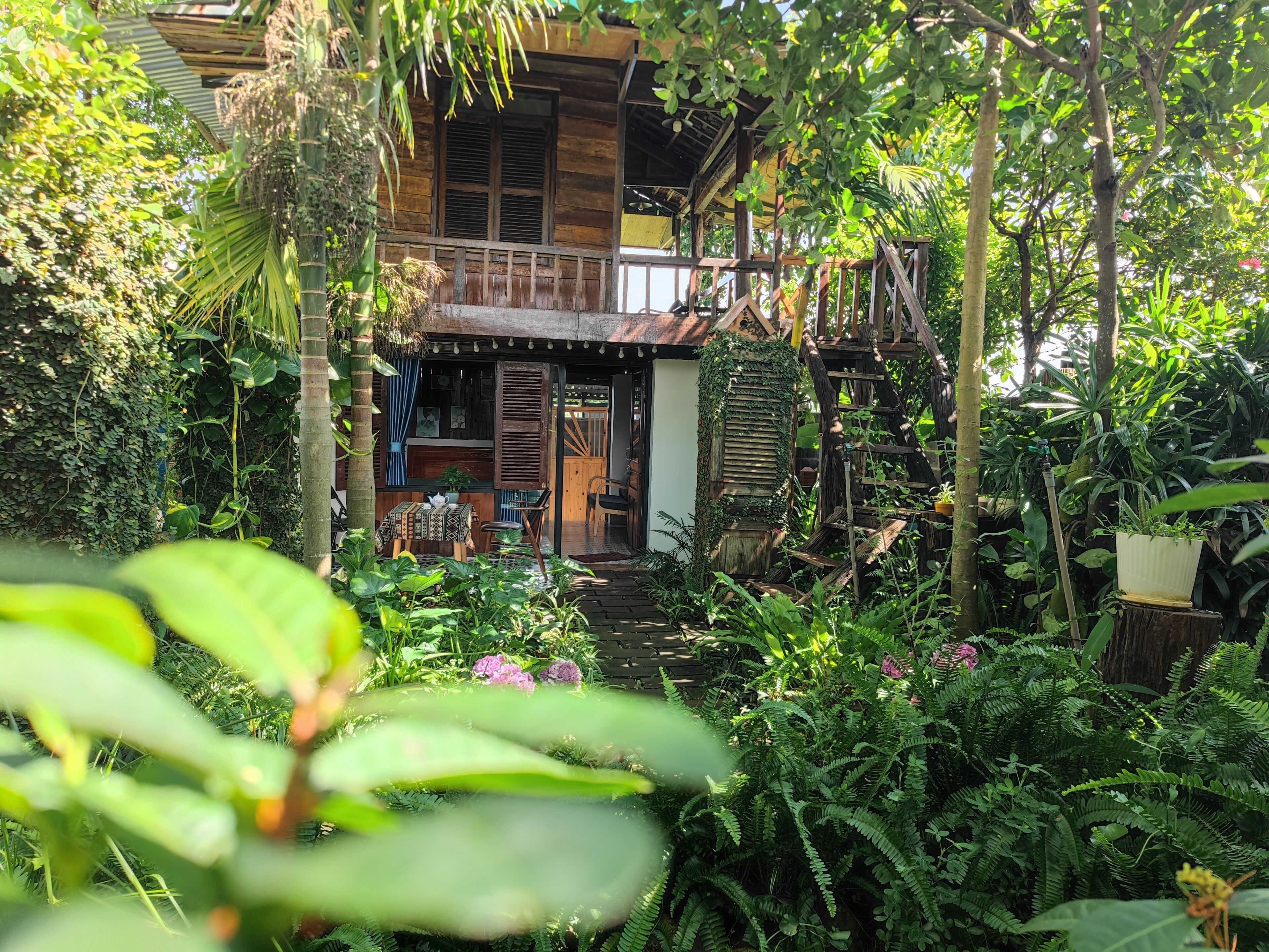 A wooden house with a porch, surrounded by lush greenery and plants.