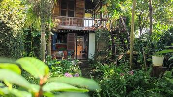A wooden house with a porch, surrounded by lush greenery and plants.