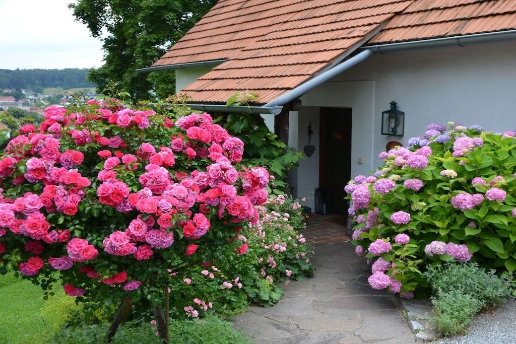 A pathway leading to a house with a tiled roof, surrounded by lush greenery and flowering plants.
