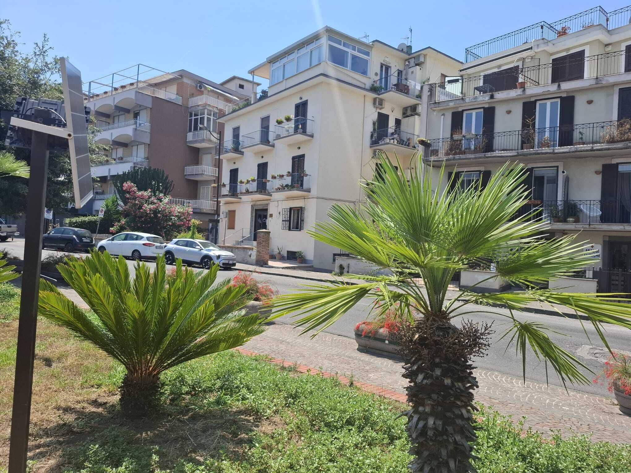 A residential area with multi-story buildings, a street with parked cars, and palm trees.