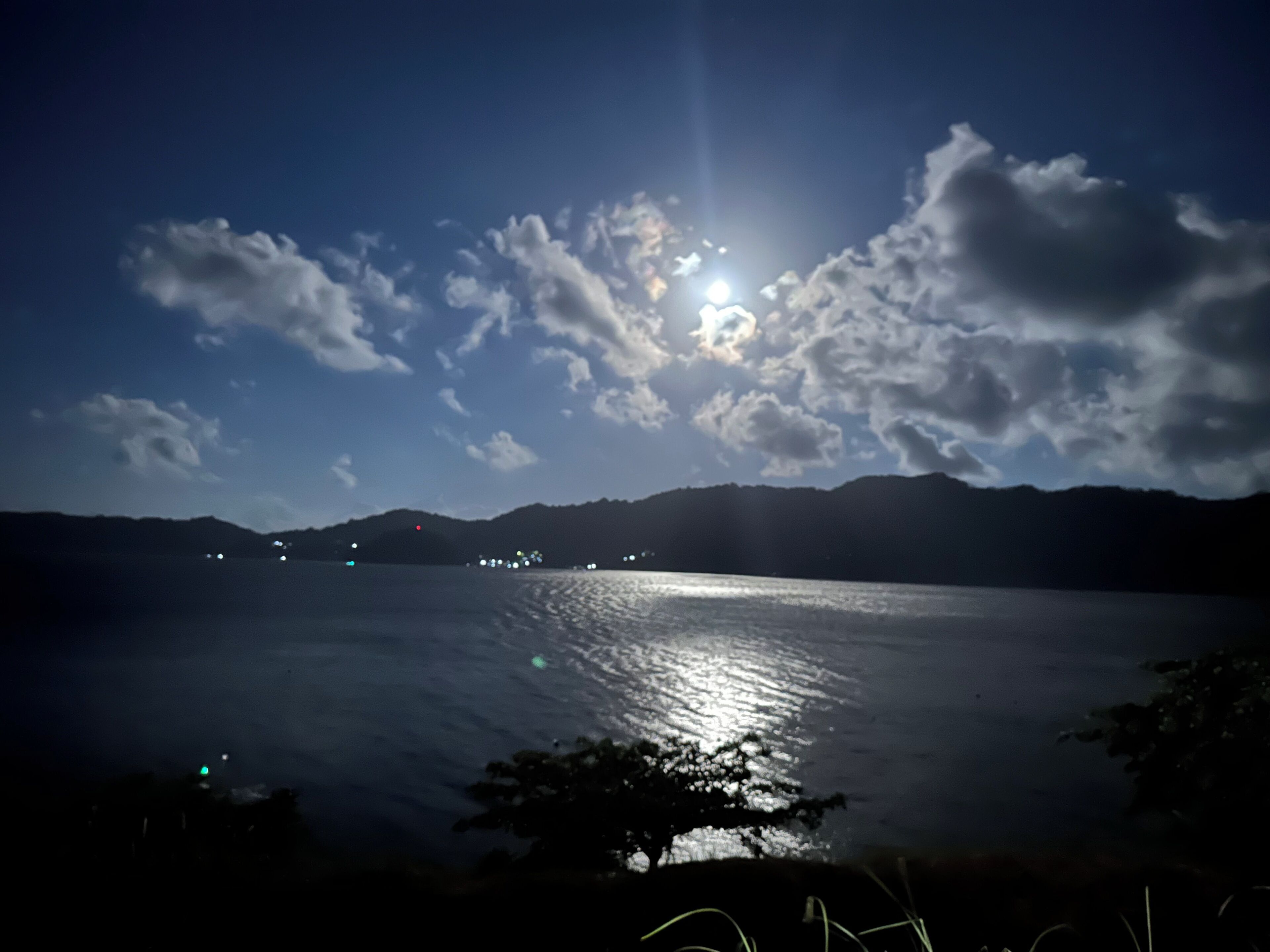 منوع