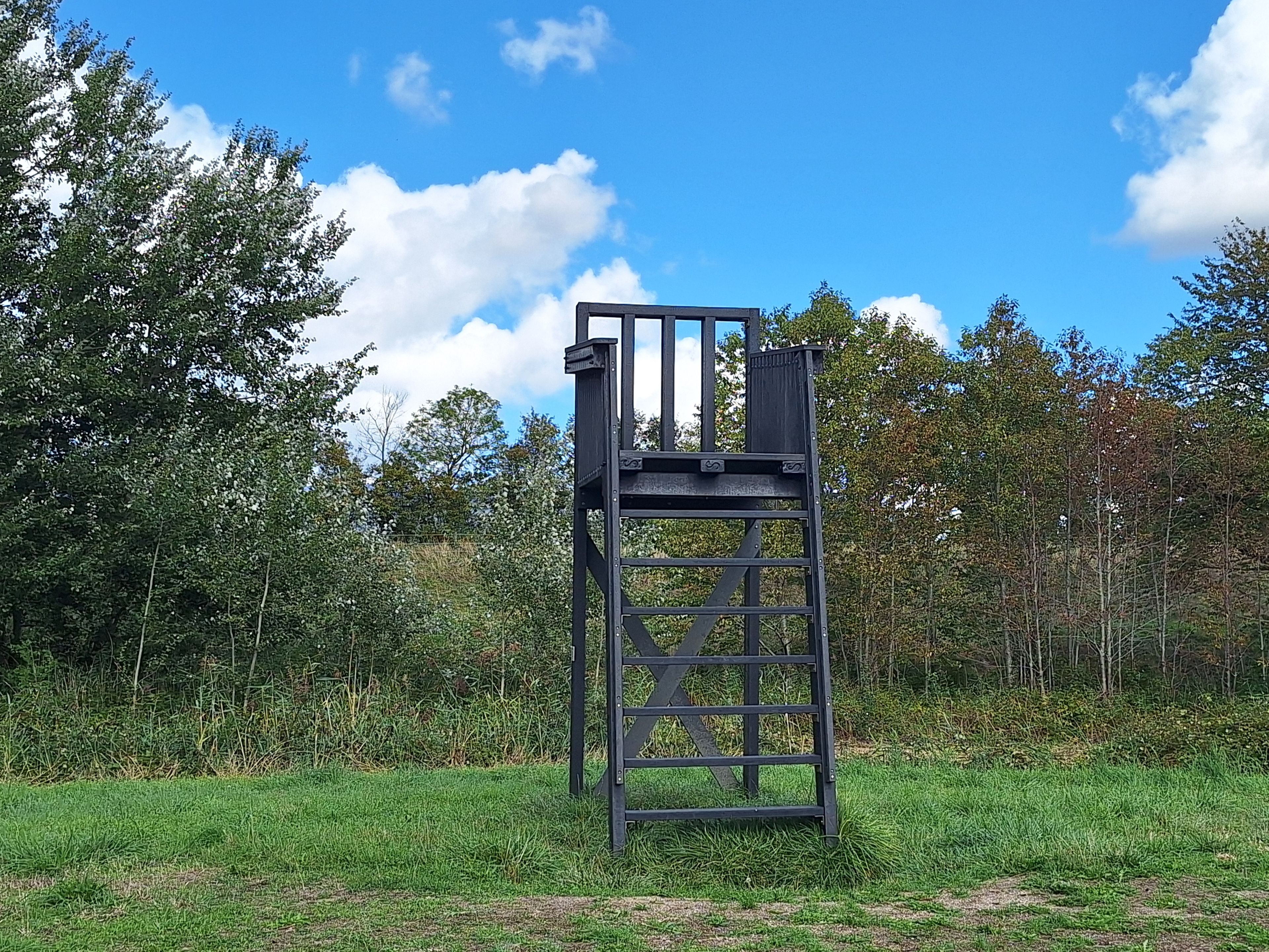 Une structure métallique dotée d’une plateforme, entourée d’herbe et d’arbres.