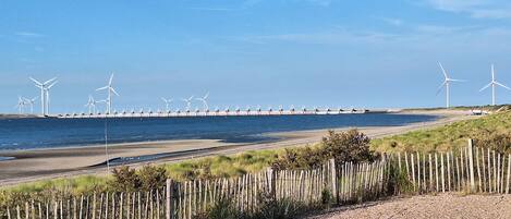 A coastal landscape with wind turbines, a sandy beach, and a wooden fence.