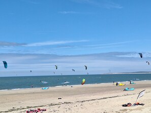 En strand med många drakar i luften, en sandstrand och havet i bakgrunden.