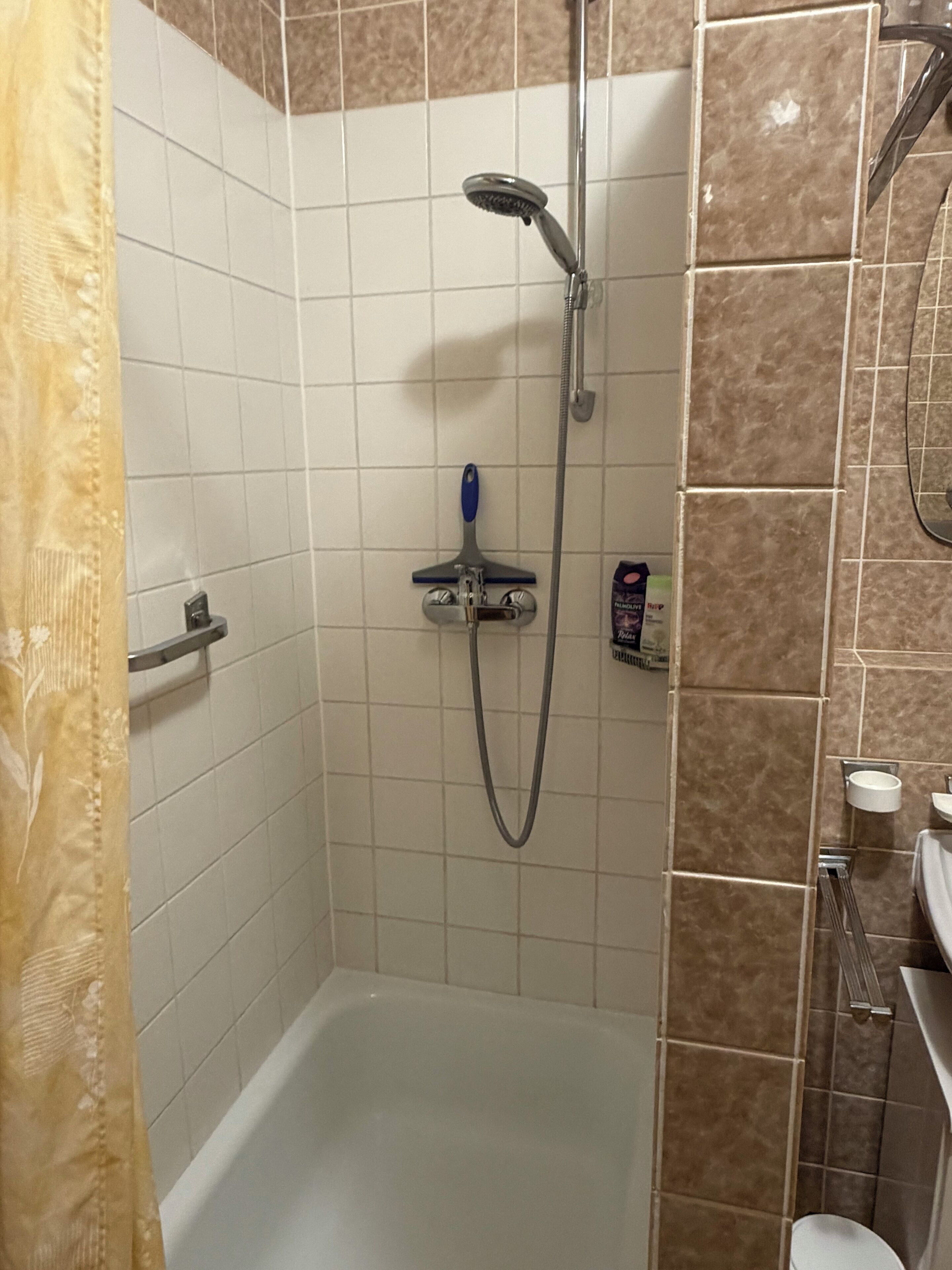 Eine Dusche mit Duschbrause und Handstrahlbürste.
