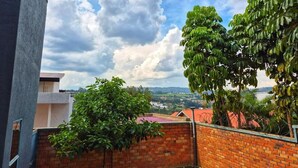 Uitzicht vanaf een balkon met een bakstenen muur, een boom en een verafgelegen landschap.