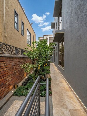 A narrow pathway flanked by buildings with a brick wall on one side and a grey wall on the other, leading to a small garden area with a tree and a metal railing.
