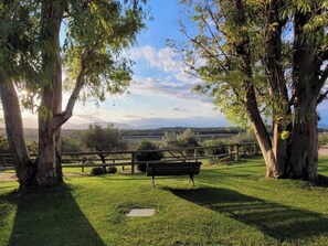 A grassy area with a bench and trees, a wooden fence, and a clear sky.