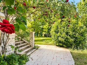 A stone staircase leading to a garden with red roses and green foliage.