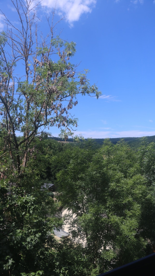 Unclassified image, 1 of 17, button - Vrbo Property (Schalkenbach)