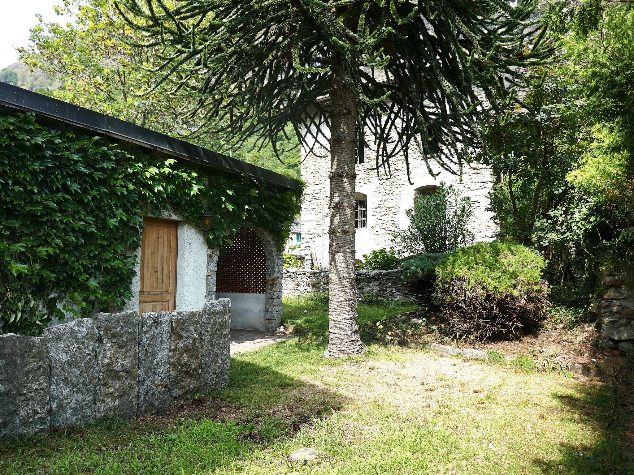 Un edificio de piedra con puerta de madera y un área cubierta con enredaderas.