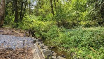 A forested area with a stream, rocks, and a gravel path.