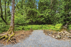 A forest path with gravel, surrounded by dense green foliage and trees. - Perch - Whispering Pines | Romantic Rainier Cabin + Hot Tub (Ashford)