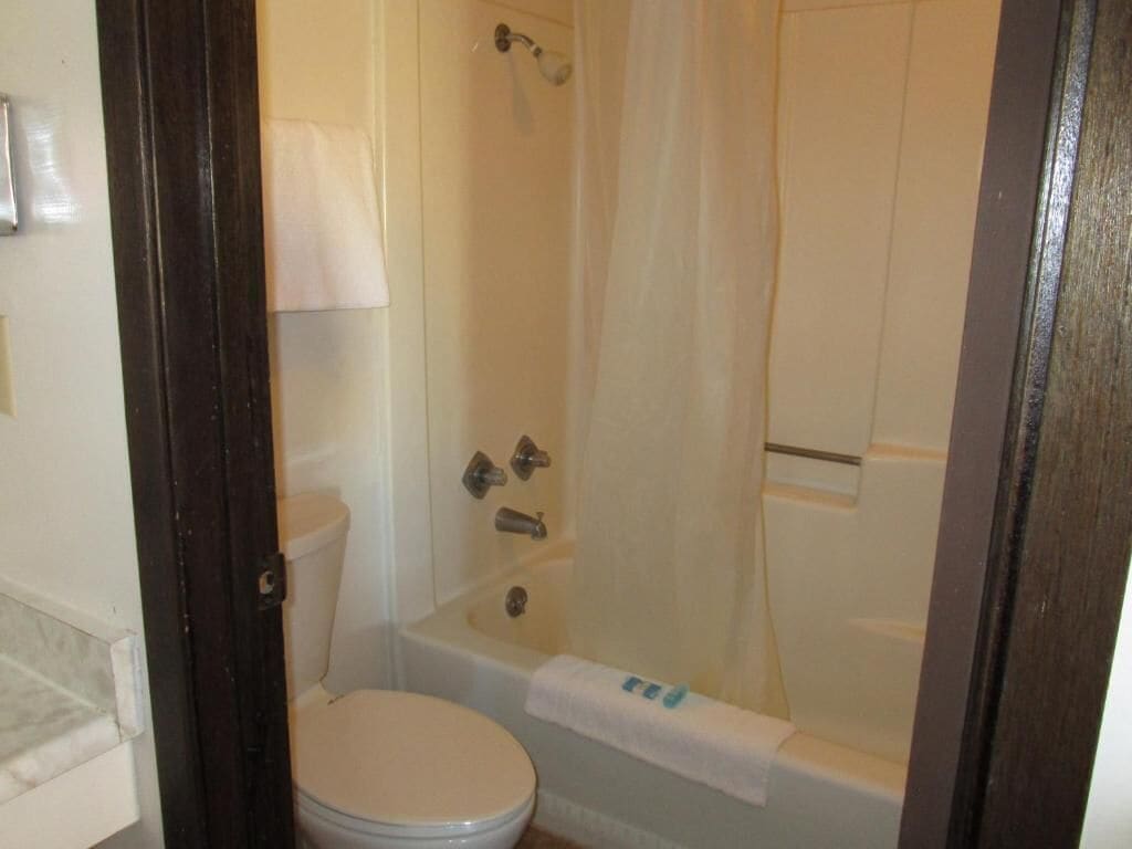 A bathroom with a toilet, bathtub, and shower curtain.