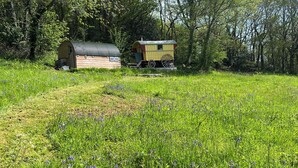 Eine rustikale Holzhütte mit Wellblechdach und einem kleinen angebauten Schuppen, umgeben von einem üppigen, grünen Feld voller Wildblumen.