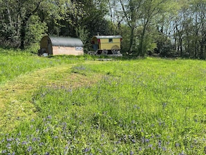 A rustic cabin with a corrugated metal roof and a small attached shed, surrounded by a lush green field with wildflowers. - PRUDENCE, pet friendly, character holiday cottage in Ashwater (East Panson)