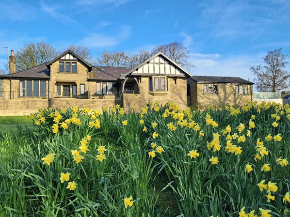 Een stenen herenhuis met twee verdiepingen en een grote tuin vol narcissen voor de deur.