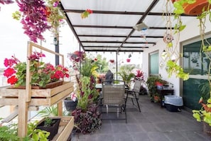 Property grounds - Small Suite 7 (1.36 miles from the historic old town) (Guadalajara)