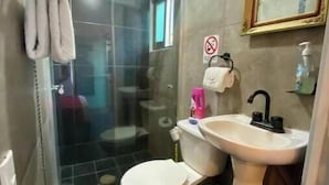 Bathroom - Small Suite 6 (1.36 miles from the historic old town), air conditioning. (Guadalajara)