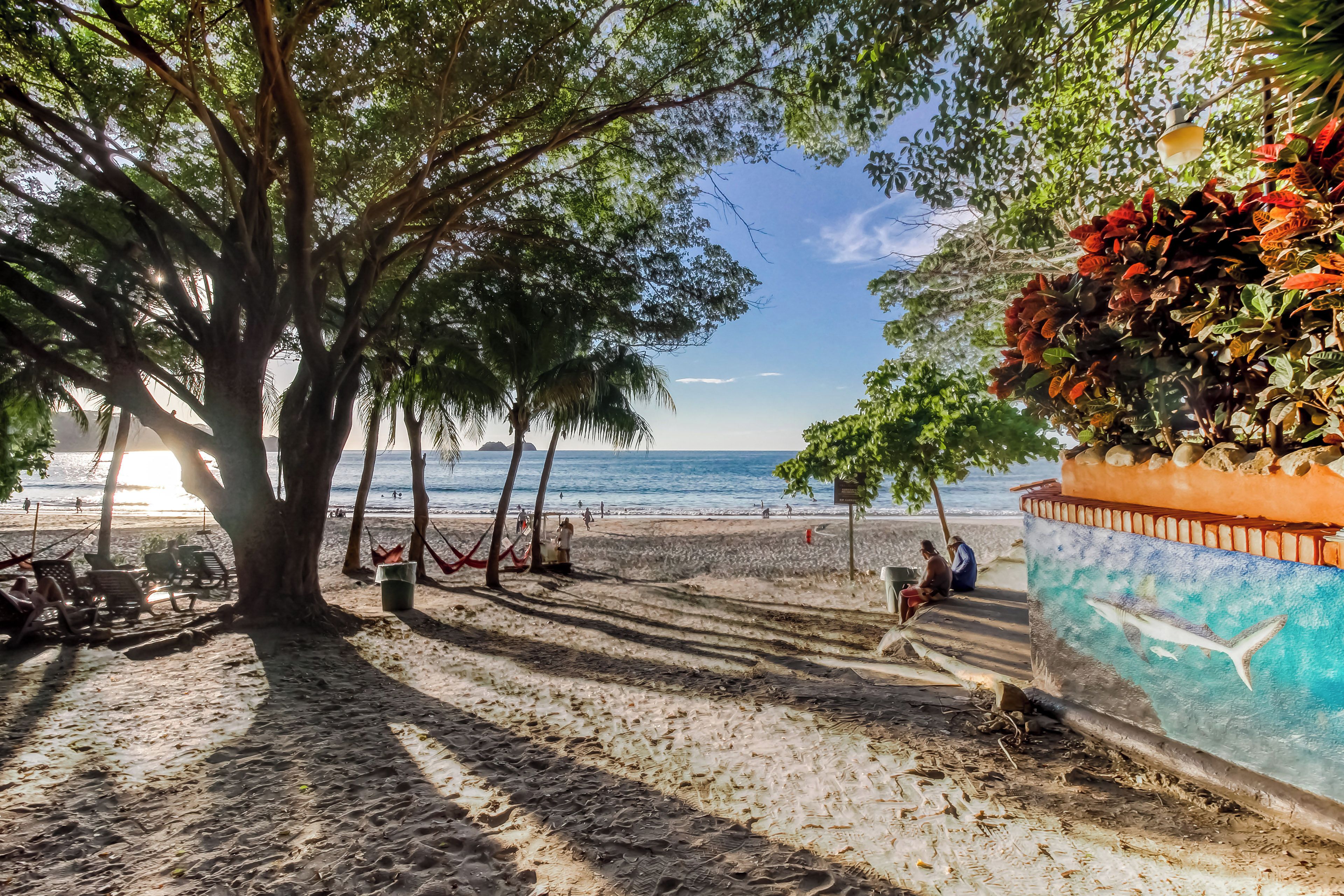 A beach with trees, a mural, and a clear sky.