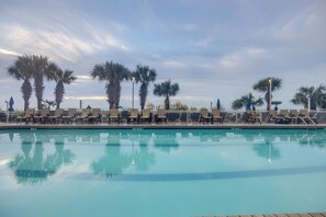 Una piscina amb gandules i palmeres.