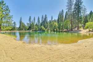 A sandy beach with a calm lake surrounded by tall pine trees.
